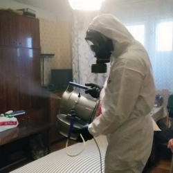 Дезинфекция от клопов в Райчихинске